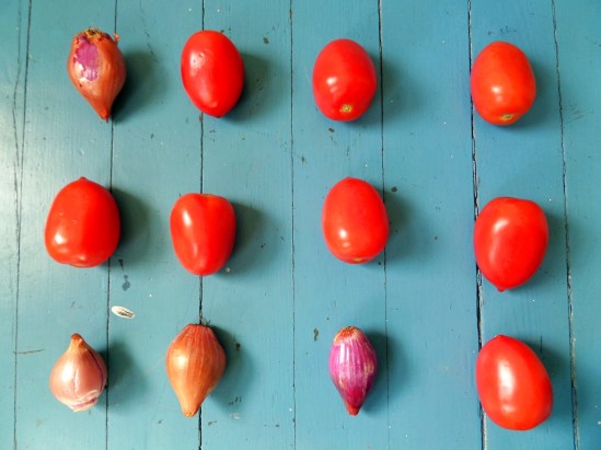 SAMSUNG CAMERA PICTURES