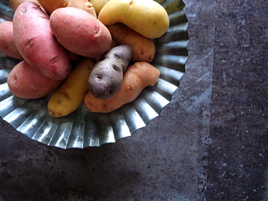 SAMSUNG CAMERA PICTURES